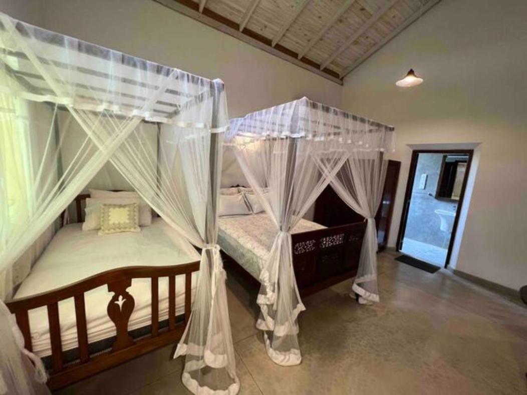 Wattala Villa- The Guardian Bungalow 外观 照片